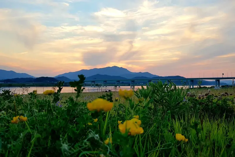 Geumosan Hiking Guide: Cable Car and Confucian Heritage hiking trail in Korea