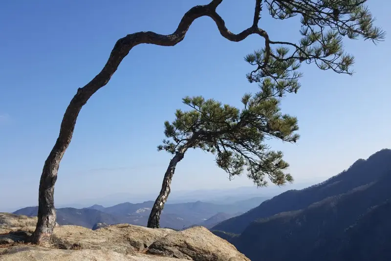 Gyeryongsan Hiking Guide: Temple Traverse and Ridge hiking trail in Korea