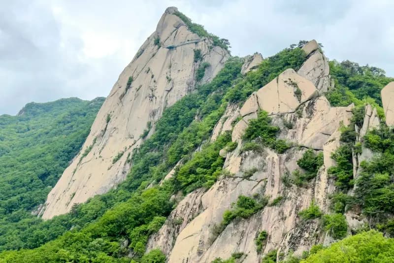 Odaesan Hiking Guide: Fir Forest and Birobong hiking trail in Korea