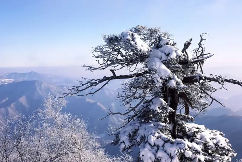 Taebaeksan Hiking Guide: Cheonjedan Altar and Snow hiking trail in Korea